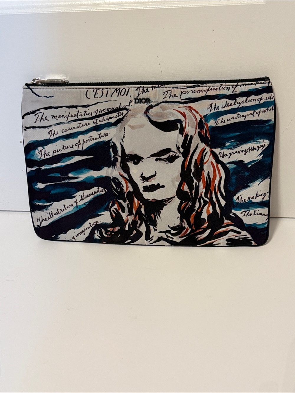 DIOR AND RAYMOND PETTIBON COLLAB 2019 CLUTCH BAG COSMO MAKEUP NYLON SILVER ZIP